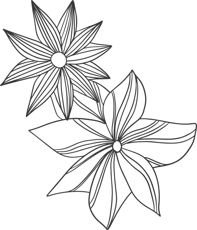 Schwarz-weiße Vektorzeichnung von zwei überlappenden, sternförmigen Blumen