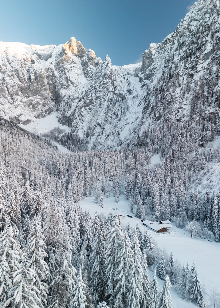 Vogelperspektive auf ein verschneites Tal mit dichtem, schneebedecktem Nadelwald